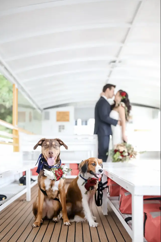 Hotel Tampa Riverwalk